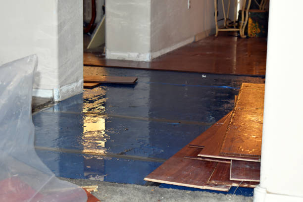 Professional Water Damage Restoration technician working in Petersburg, VA